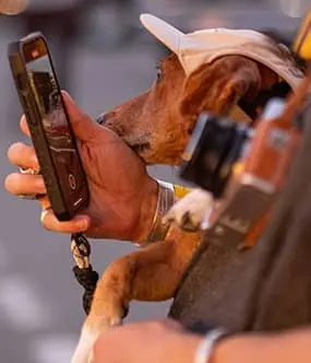 Close-up of a dog wearing a small hat, held by a person with a smartphone. Both look contently toward the logo in the center.